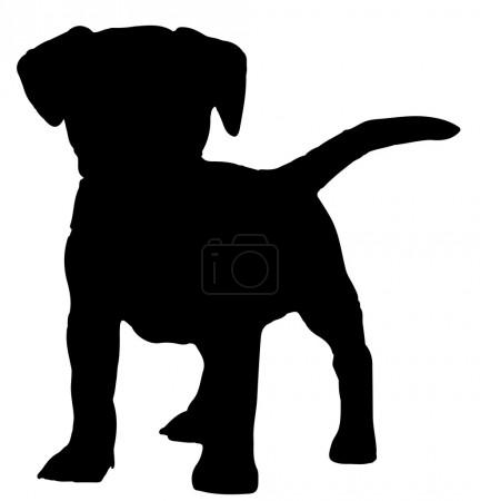 FotkyFoto_dog-silhouette-vector_39864187